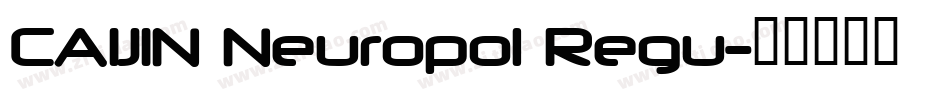 CAIJIN Neuropol Regu字体转换